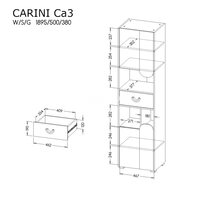 Pastatoma lentyna CARINI CA3 